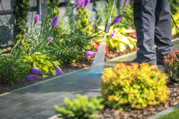 Best Fence Cleaning and Maintenance in Briarcliff Manor, NY