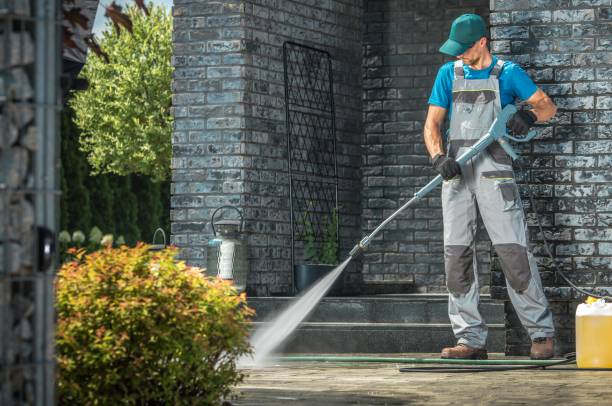 Best Roof Cleaning and Mildew Removal in Briarcliff Manor, NY